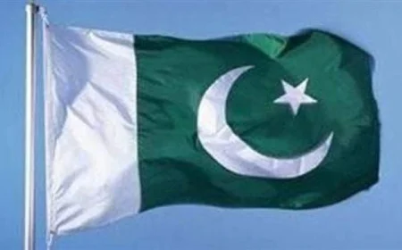 باكستان تستنكر بشدة التصريحات الإسرائيلية حول التهجير القسري للفلسطينيين