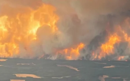 كيف يؤثر تغير المناخ في تسريع حرائق الغابات الناتجة عن الصواعق: دراسة تحذيرية جديدة