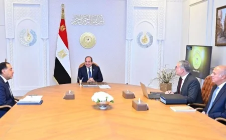 السيسي يوجه بتسريع تطوير الآبار المكتشفة وزيادة أنشطة البحث