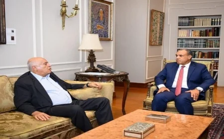 عبد العاطي يعلن رفض العمليات العسكرية بغزة ومخططات التهجير والإبادة