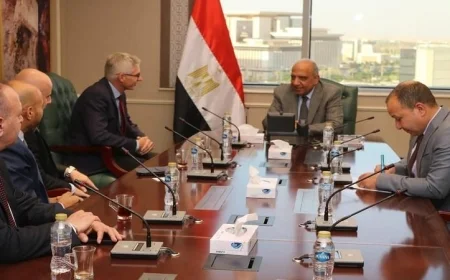 تعزيز كفاءة الطاقة وتحديث الشبكات محور محادثات وزير الكهرباء مع شركة سويدية رائدة