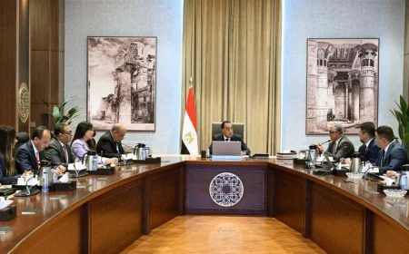 رئيس الوزراء يجتمع مع ممثلي شركة صن ريف سولار الصينية الرائدة في الطاقة الشمسية