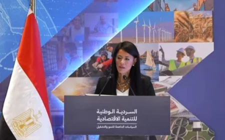 المشاط يؤكد أهمية تنسيق الجهود لتحقيق أهداف السردية الوطنية للتنمية الاقتصادية