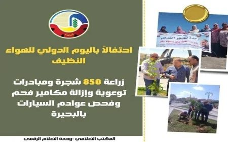 البحيرة تطلق مبادرات توعوية وتحركات جريئة لإزالة مكامير الفحم وفحص عوادم السيارات