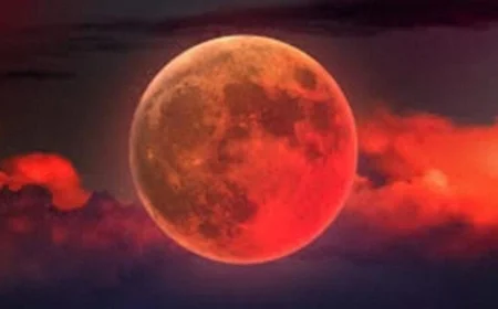 وزارة الأوقاف تختتم فعاليات مميزة لرصد خسوف القمر