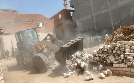 البحيرة تكثف جهودها لإزالة التعديات على الأراضي الزراعية والبناء المخالف