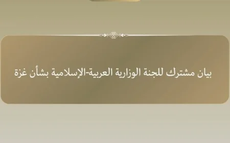 اللجنة العربية الإسلامية تدعو مجددًا لوقف فوري لإطلاق النار في غزة