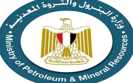 وزارة البترول: زيادة إنتاج الغاز بمقدار 50 مليون قدم مكعب يوميًا من بئر جديد في الصحراء الغربية