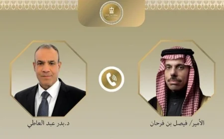 وزير الخارجية والسعودي يتحدان في رفض العدوان على غزة بشكل قاطع