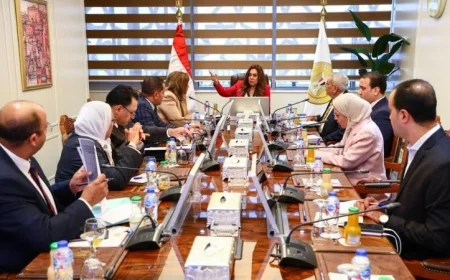 وزيرة التنمية تستكشف فرص تعزيز الخدمات المالية غير المصرفية في المحافظات