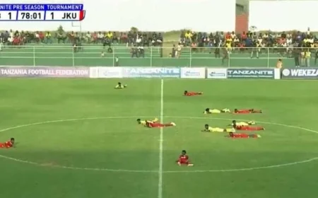 سرب من النحل يجبر مباراة كرة القدم في تنزانيا على التوقف المفاجئ