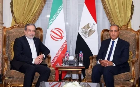 محادثات هامة بين وزير الخارجية ونظيره الإيراني حول تطورات الملف النووي الإيراني