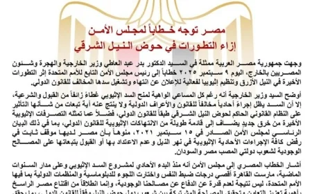 مصر تطلب تدخل مجلس الأمن لمواجهة تحديات حوض النيل الشرقي والسد الإثيوبي