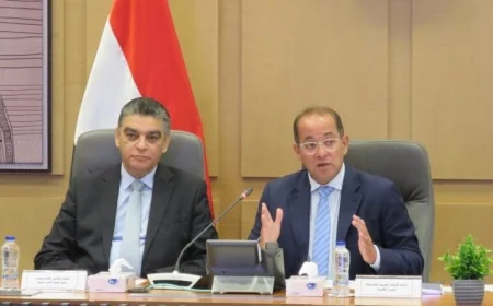 المالية تتيح مصادر تمويل متنوعة لضمان السيولة لشركات الأدوية