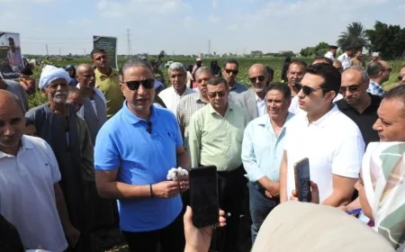 محافظ الفيوم يطلق موسم جني القطن ويشدد على دعم المزارعين بنشاط