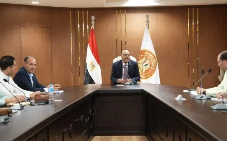 وزارة العمل تحرر 201 محضر مخالفة لتصاريح عمل الأجانب بغرامات تصل إلى 20 مليون جنيه