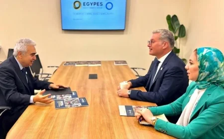 وزير البترول يناقش تعزيز التعاون مع المدير التنفيذي لوكالة الطاقة الدولية لتطوير قطاع الطاقة