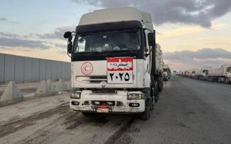 قافلة المساعدات الإنسانية الرابعة والثلاثون تصل إلى الفلسطينيين في غزة