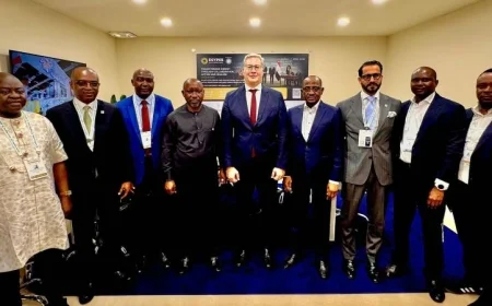 مصر ونيجيريا تعززان الاستثمارات المشتركة في مجال الطاقة من خلال جلسة مباحثات