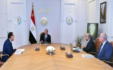 الرئيس السيسي يدعو لتعزيز قدرات مصر في الطاقات المتجددة