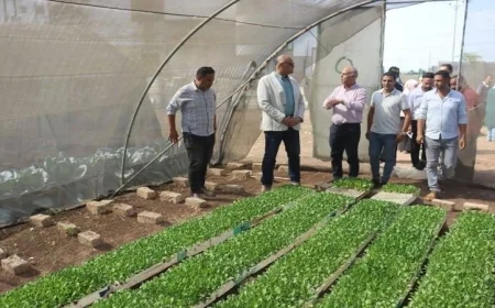 محافظ القليوبية يزور المنشآت الزراعية ويعلن عن لقاء أسبوعي مع المزارعين لتعزيز التعاون