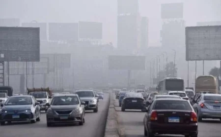 شبورة كثيفة ورطوبة مرتفعة تسيطر على طقس اليوم في القاهرة ودرجة الحرارة تصل إلى 33 درجة