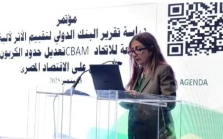 استعراض هيئة الاستثمار لتأثير آلية CBAM الأوروبية على الاقتصاد المصري