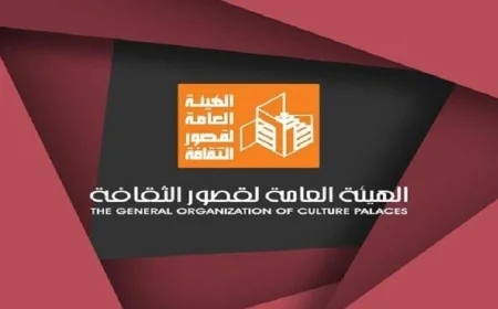 فعاليات نقل الخبرة بالقصور الثقافية: التركيز على الثقافة الرقمية وصناعة المحتوى