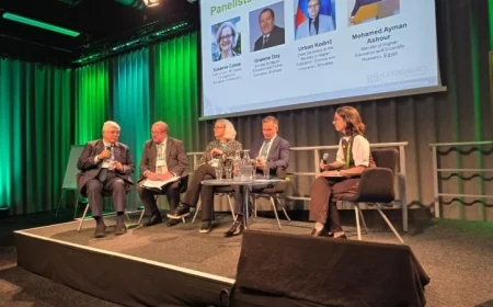 عاشور: تدويل التعليم يتصدر إستراتيجية مصر الوطنية للتعليم العالي