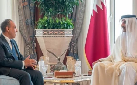 وزير الخارجية يقدم رسالة دعم وتضامن من الرئيس السيسي لأمير قطر