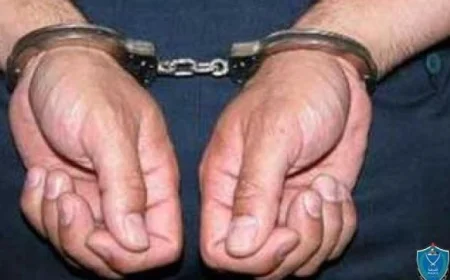 ضبط لصين متخصصين في سرقة الهواتف المحمولة من المواطنين وسط القاهرة