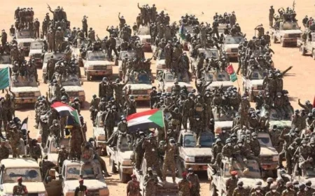 القوات المسلحة السودانية تؤكد إحكام سيطرتها على مدينة بارا في شمال كردفان