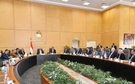 متابعة وزير الإسكان ورئيس الهيئة العربية للتصنيع لمشروعات حياة كريمة