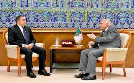 السفير المصري الجديد بالجزائر يسلم أوراق اعتماده لوزير الخارجية الجزائري