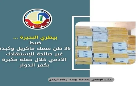 ضبط كميات ضخمة من السمك والكبدة الفاسدة في البحيرة بواسطة البيطريين