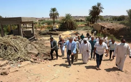 محافظ أسوان يتابع تنفيذ مشروع الصرف الصحي بغرب سهيل بتكلفة 350 مليون جنيه