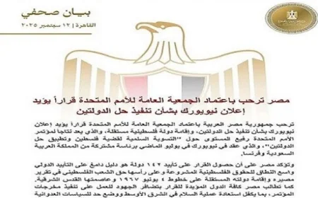 مصر تحتفي بقرار الجمعية العامة للأمم المتحدة لدعم حل الدولتين بشكل فعال