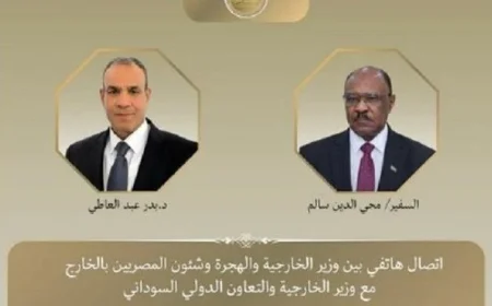 وزير الخارجية يهنئ نظيره السوداني بتوليه المنصب الجديد