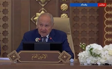 أبو الغيط يحتفي بتبني الأمم المتحدة لمشروع حل الدولتين