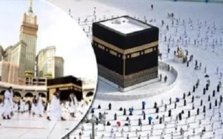 غرفة السياحة تكشف عن الكيانات غير الشرعية وتقدم بلاغات للنيابة لحماية القطاع السياحي