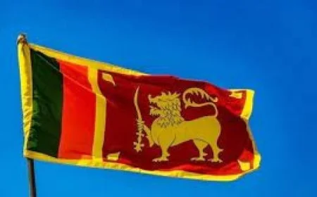 سريلانكا تبدي تأييدها لقرار الأمم المتحدة الجديد حول حل الدولتين