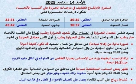 توقعات طقس الغد: حرارة شديدة ورطوبة نهاراً وليلاً في القاهرة بدرجة عظمى 36