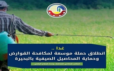 غدًا انطلاق حملة شاملة لمكافحة القوارض وحماية المحاصيل الصيفية في محافظة البحيرة