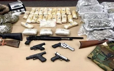 ضبط 112 سلاحًا ناريًا و324 قضية مخدرات وتنفيذ 65 ألف حكم قضائي في يوم واحد