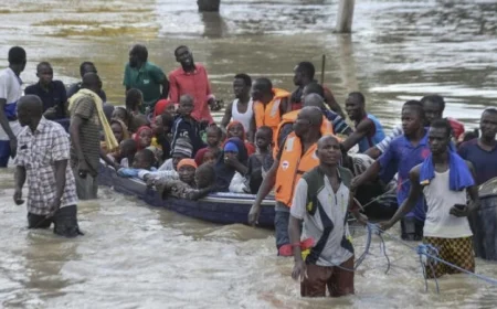 فيضانات النيجر تؤثر على حياة 246 ألف شخص وتجلب تحديات ضخمة للمنطقة
