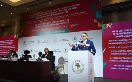 مصر تقود اجتماع الوزراء الأفارقة للتجارة في الخلوة الوزارية الرابعة بالقاهرة
