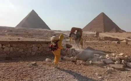 يوميات الحفاظ على صحة الدواب وضمان تجربة سياحية آمنة في هضبة الأهرامات