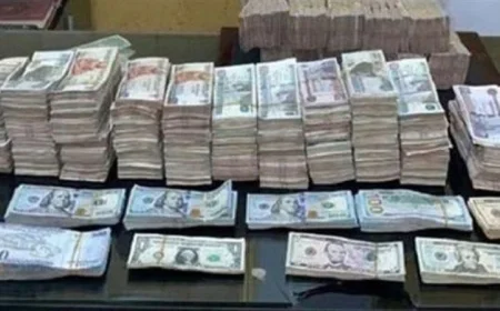 ضبط قضايا اتجار في العملات الأجنبية تناهز 5 مليون جنيه مصري