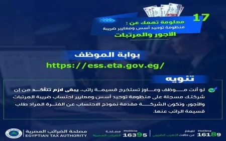 إنفوجراف الضرائب يكشف تفاصيل بوابة الموظف الجديدة