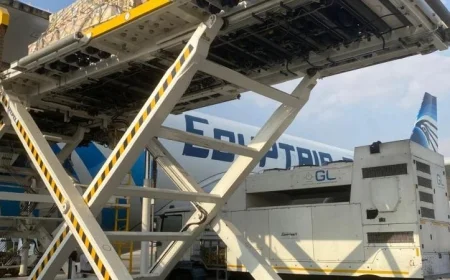 نجاح مصر للطيران في شحن النحل الحي إلى السعودية عبر خدمات الشحن الجوي